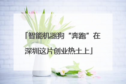 智能机器狗“奔跑”在深圳这片创业热土上