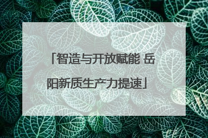 智造与开放赋能 岳阳新质生产力提速