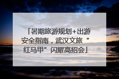 暑期旅游规划+出游安全指南，武汉文旅“红马甲”闪耀高招会
