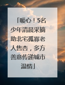 暖心！5名少年清晨采摘助北宅孤寡老人售杏，多方善意传递城市温情