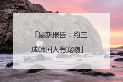 最新报告：约三成韩国人有宠物
