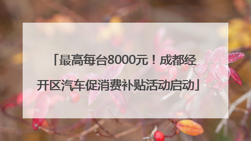 最高每台8000元！成都经开区汽车促消费补贴活动启动