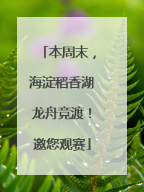 本周末，海淀稻香湖龙舟竞渡！邀您观赛