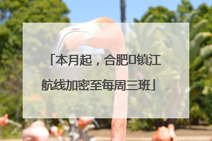 本月起，合肥⇋镇江航线加密至每周三班