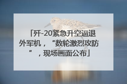 歼-20紧急升空逼退外军机，“数轮激烈攻防”，现场画面公布