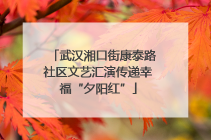 武汉湘口街康泰路社区文艺汇演传递幸福“夕阳红”