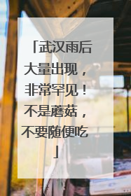 武汉雨后大量出现，非常罕见！不是蘑菇，不要随便吃