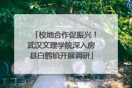 校地合作促振兴！武汉文理学院深入房县白鹤镇开展调研