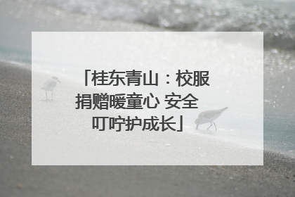 桂东青山：校服捐赠暖童心 安全叮咛护成长