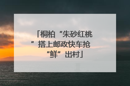 桐柏“朱砂红桃”搭上邮政快车抢“鲜”出村