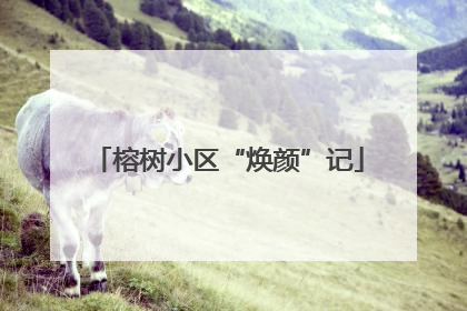 榕树小区“焕颜”记