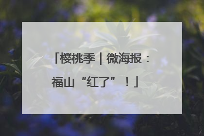 樱桃季｜微海报：福山“红了”！