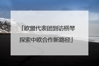 欧盟代表团到访横琴 探索中欧合作新路径