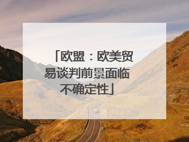 欧盟：欧美贸易谈判前景面临不确定性