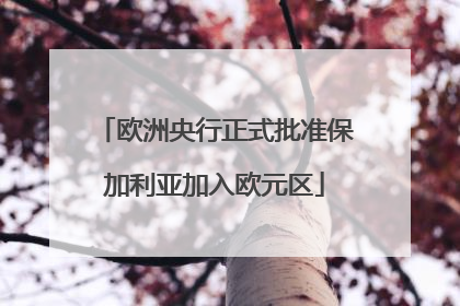 欧洲央行正式批准保加利亚加入欧元区