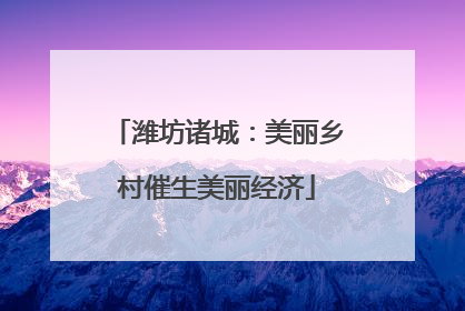 潍坊诸城：美丽乡村催生美丽经济