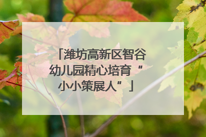 潍坊高新区智谷幼儿园精心培育“小小策展人”