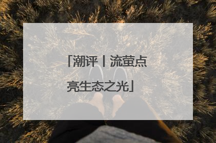 潮评丨流萤点亮生态之光