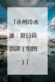 永州冷水滩：夏日荷韵浓（组图）