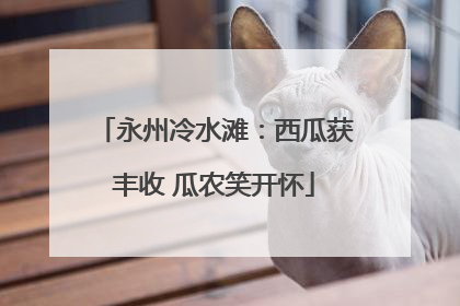永州冷水滩：西瓜获丰收 瓜农笑开怀