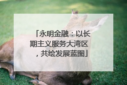 永明金融：以长期主义服务大湾区，共绘发展蓝图