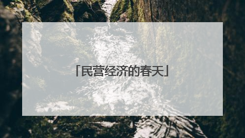 民营经济的春天