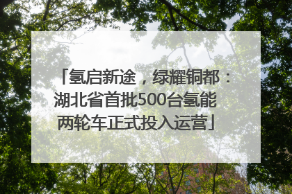 氢启新途，绿耀铜都：湖北省首批500台氢能两轮车正式投入运营