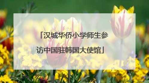 汉城华侨小学师生参访中国驻韩国大使馆
