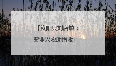 汝阳县刘店镇：薯业兴农助增收