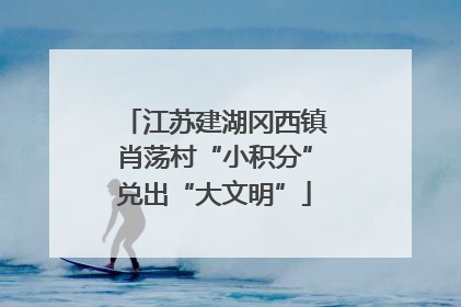 江苏建湖冈西镇肖荡村“小积分”兑出“大文明”