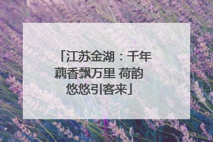 江苏金湖：千年藕香飘万里 荷韵悠悠引客来
