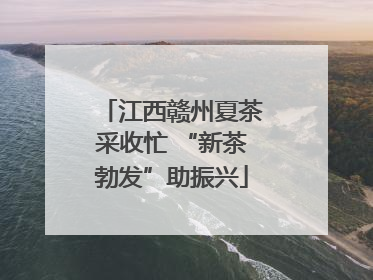 江西赣州夏茶采收忙 “新茶勃发”助振兴