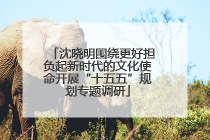 沈晓明围绕更好担负起新时代的文化使命开展“十五五”规划专题调研