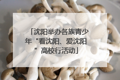沈阳举办各族青少年“看沈阳、爱沈阳”高校行活动