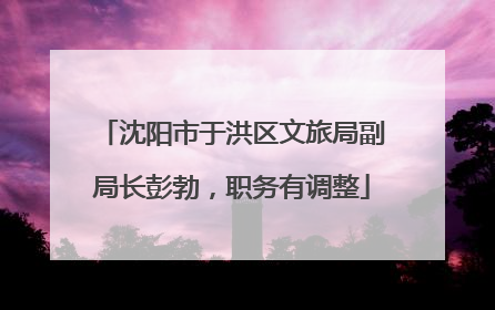 沈阳市于洪区文旅局副局长彭勃，职务有调整