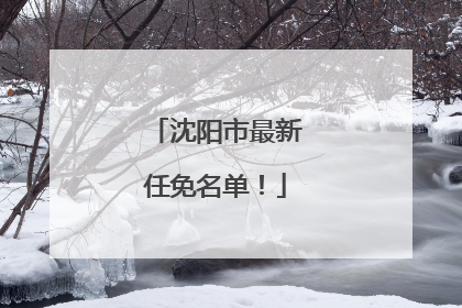 沈阳市最新任免名单！