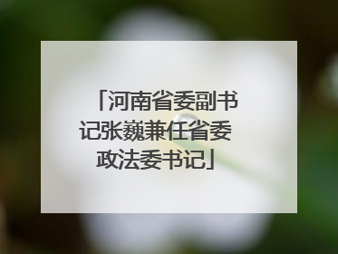 河南省委副书记张巍兼任省委政法委书记