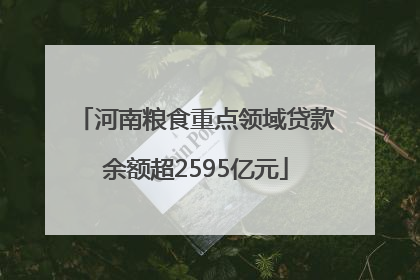 河南粮食重点领域贷款余额超2595亿元