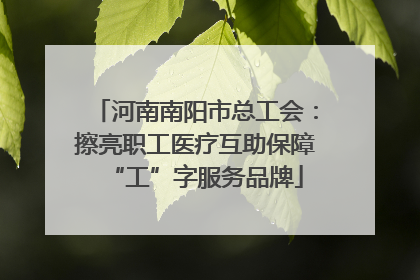 河南南阳市总工会：擦亮职工医疗互助保障“工”字服务品牌