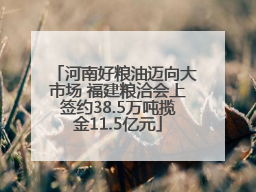河南好粮油迈向大市场 福建粮洽会上签约38.5万吨揽金11.5亿元