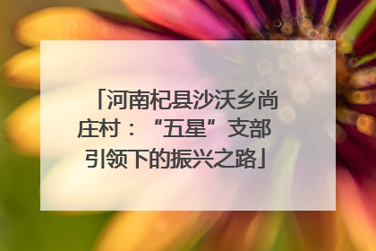 河南杞县沙沃乡尚庄村：“五星”支部引领下的振兴之路