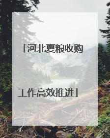河北夏粮收购工作高效推进