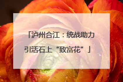 泸州合江：统战助力引活石上“致富花”
