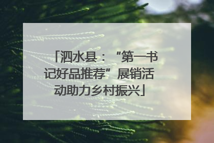 泗水县：“第一书记好品推荐”展销活动助力乡村振兴