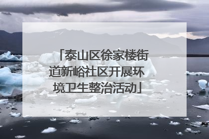 泰山区徐家楼街道新峪社区开展环境卫生整治活动