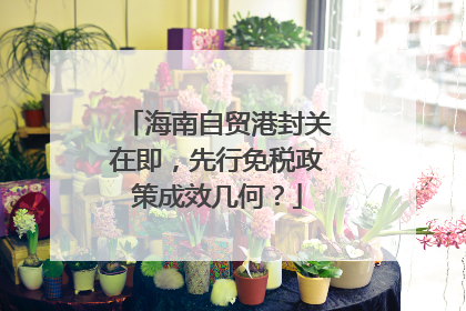 海南自贸港封关在即，先行免税政策成效几何？