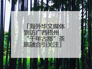 海外华文媒体到访广西梧州 “千年古郡”茶旅融合引关注