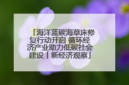 海洋蓝碳海草床修复行动开启 循环经济产业助力低碳社会建设丨新经济观察