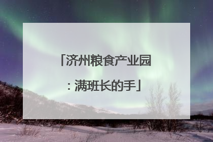 济州粮食产业园：满班长的手