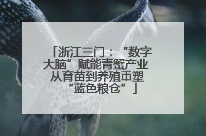 浙江三门：“数字大脑”赋能青蟹产业 从育苗到养殖重塑“蓝色粮仓”